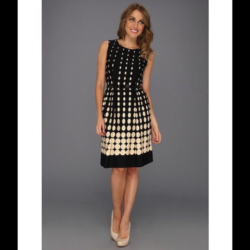 Tahari by ASL Dot Dress.